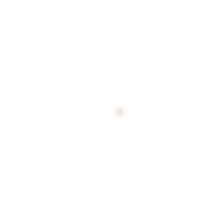 Star - shining - bright - No Watermark PNG