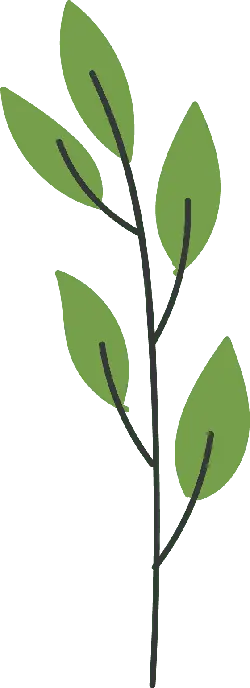 Branch - growth - Lossless PNG