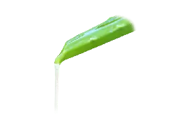 Aloe Leaf - Transparent Layer PNG