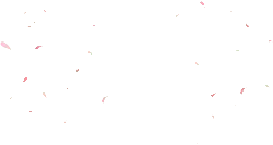 Pink Petals Falling - Free Download PNG - No Background PNG