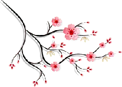 Pink Cherry Blossom Branch - Transparent Background PNG