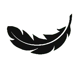 Feather - natural - decoration - PNG Images