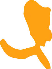 Abstract Shape - yellow - High Resolution PNG