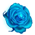 Blue Rose - rose - art - No Watermark PNG
