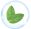 Leaf in Bubble - bubble - High Resolution PNG