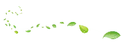 Green Vine - leaves - growth - Free PNG