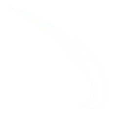 White Arrow - logo - PNG Images