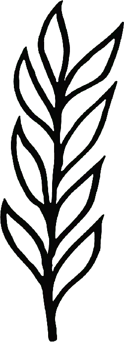Feather - plant - art - High Resolution PNG