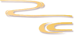 Abstract Pattern - Curated PNG - simple