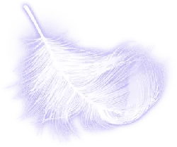 Feather - lightweight - outline - Transparent Layer PNG
