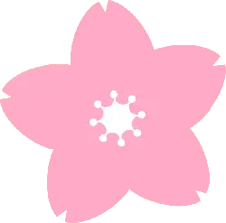 beautiful - Cherry Blossom - Recommended PNG