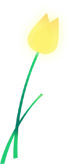 Yellow Flower - simple - illustration - High Resolution PNG