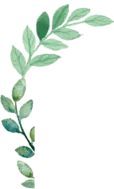 Green Leafy Branch - plant - green - No Background PNG