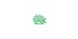Green Hedgehog - simple - PNG Images