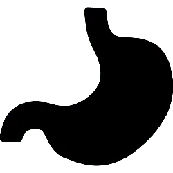 night hunter - Free PNG - Black Owl - Pic 2