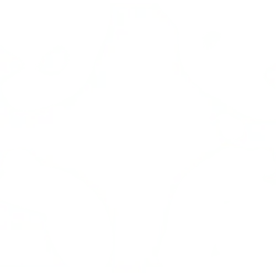 Star Shape - symmetry - geometric shape - High Resolution PNG