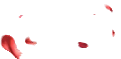 Red Petals - falling - No Watermark PNG