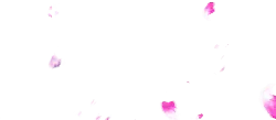 Pink Petals Falling - Curated PNG - pink