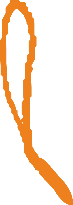 Orange Number 9 - graphic design - High Resolution PNG