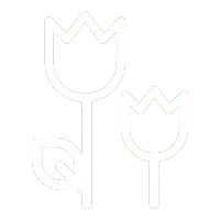 Two Flowers - line art - PNG Images