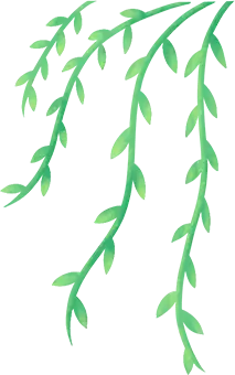 Water Plant - plant - PNG Images