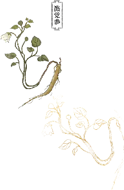 Plant Illustration - line art - Lossless PNG