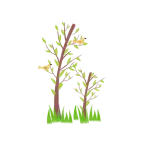 Tree - Lossless PNG - High Quality PNG