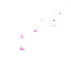 Pink Petals - lightweight - Free PNG