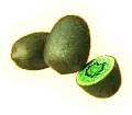 Avocado - healthy - Transparent Background PNG