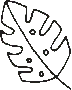 Banana Leaf - Fast Download PNG - nature