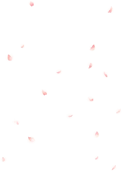 Pink Petals Falling - Free PNG - falling