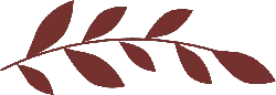 Brown Leaf Branch - leaves - No Background PNG