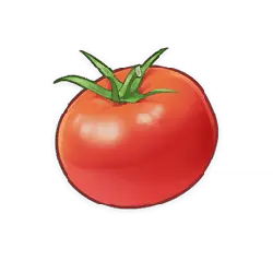 Tomato - vegetable - circle - High Resolution PNG