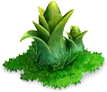 Green Plant - High Resolution PNG