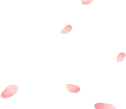 Pink Petals - flower - background - Lossless PNG