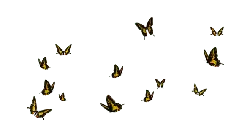Yellow Butterfly - nature - High Download Count PNG