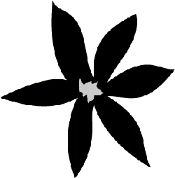 Bat - PNG Images