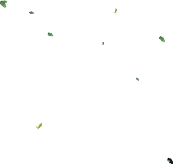 Falling Leaves - leaves - High Quality PNG