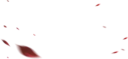Red Petals Falling - dynamic - No Background PNG