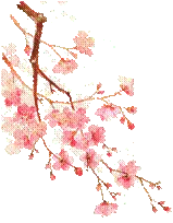 Cherry Blossom - PNG Images - High Quality PNG