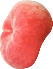 Peach - soft - Designer's Pick PNG