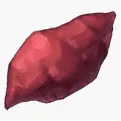 Red Leaf - nature - red - Lossless PNG