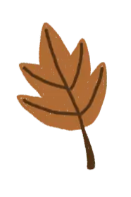 Oak Leaf - nature - plant - Free Download PNG