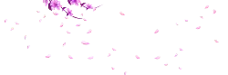 Pink Petals Falling - pink - Curated PNG