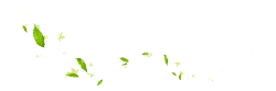 Falling Leaves and Stars - shining - High Resolution PNG