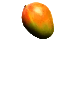 Mango - juicy - Designer Recommended PNG