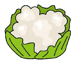Cabbage - delicious - healthy - PNG