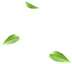 Falling Leaves - leaves - No Background PNG
