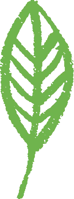 Leaf - nature - Free for Commercial Use PNG