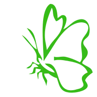 Green Butterfly - environmental protection - PNG Images